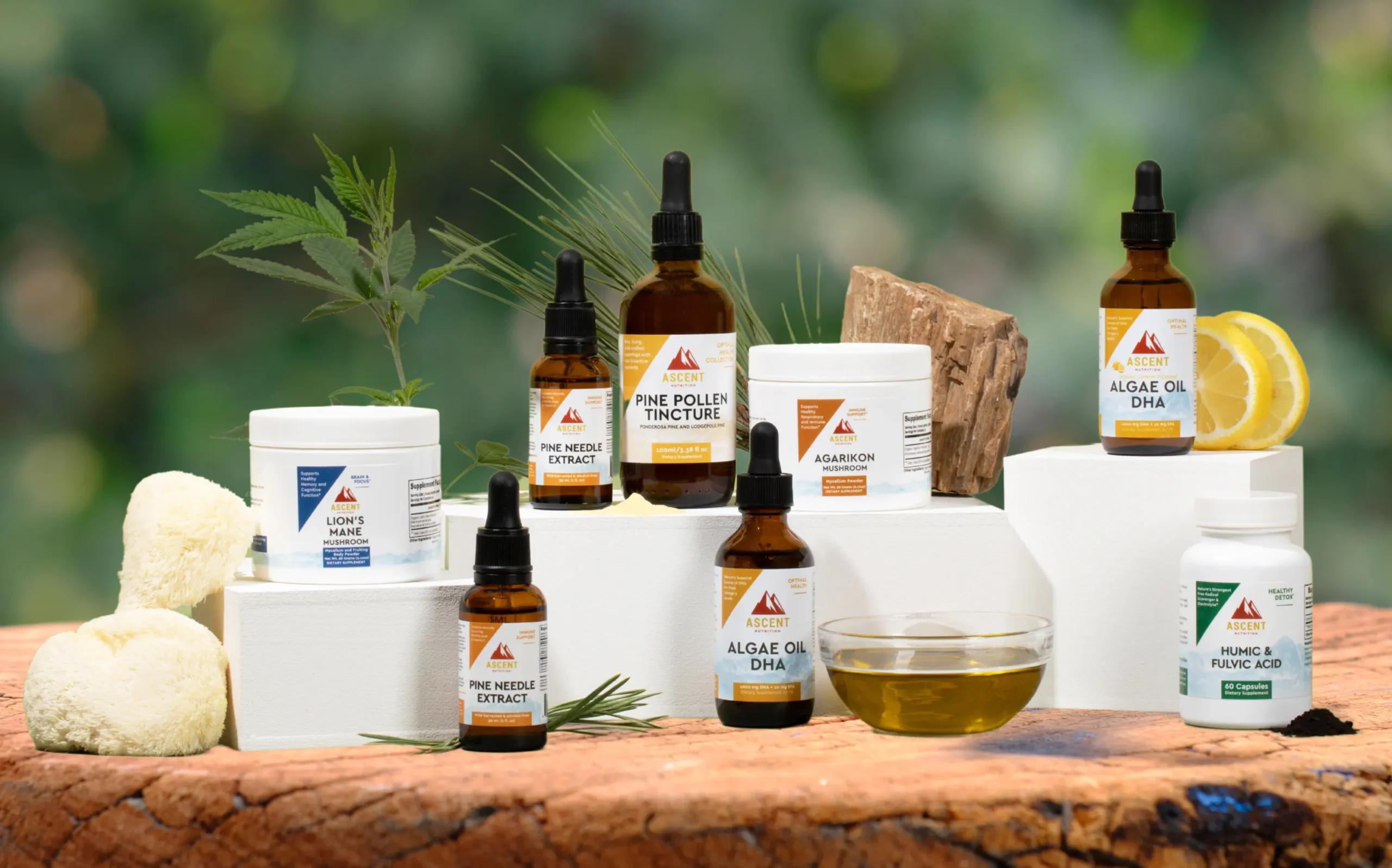 Ascent-Nutrition-Supplements-Review-and-Buying-Guide-Vegan-Omega-3-Antioxidants